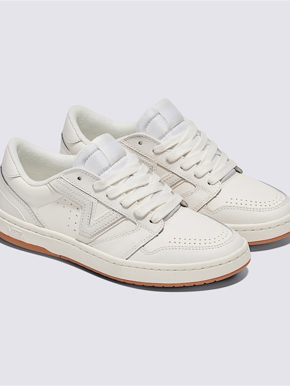Vans Lowland 2.0 Shoe